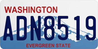 WA license plate ADN8519