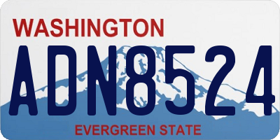 WA license plate ADN8524