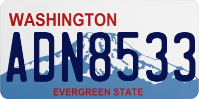 WA license plate ADN8533