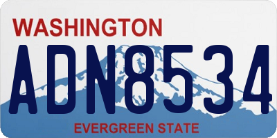 WA license plate ADN8534