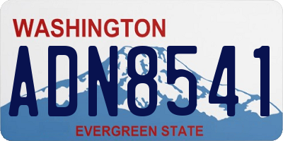 WA license plate ADN8541