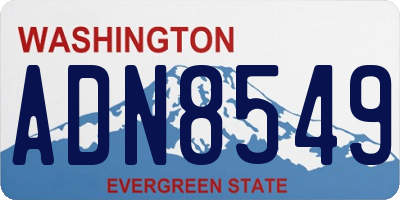 WA license plate ADN8549