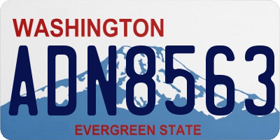 WA license plate ADN8563