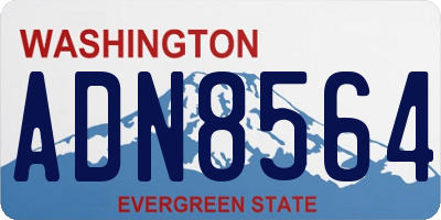 WA license plate ADN8564
