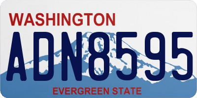 WA license plate ADN8595