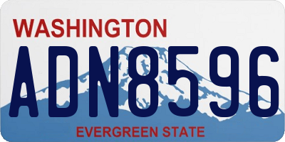 WA license plate ADN8596
