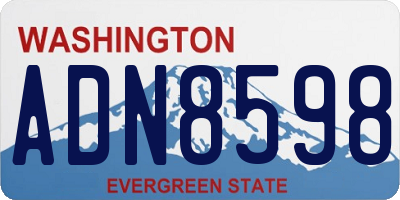 WA license plate ADN8598