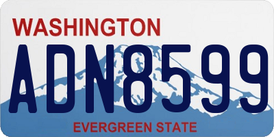 WA license plate ADN8599