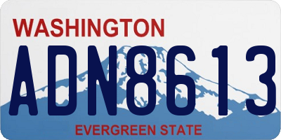 WA license plate ADN8613