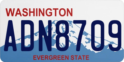 WA license plate ADN8709
