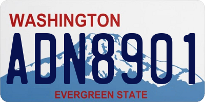 WA license plate ADN8901