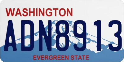 WA license plate ADN8913