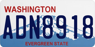 WA license plate ADN8918