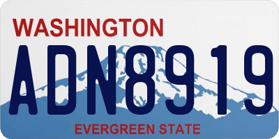 WA license plate ADN8919