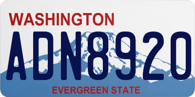 WA license plate ADN8920