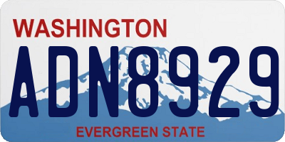 WA license plate ADN8929