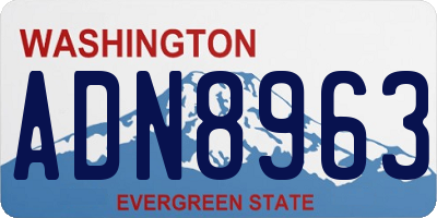WA license plate ADN8963
