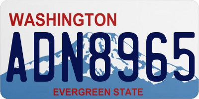 WA license plate ADN8965