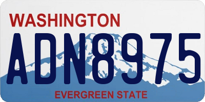 WA license plate ADN8975