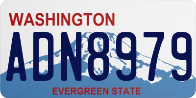 WA license plate ADN8979