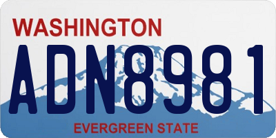 WA license plate ADN8981
