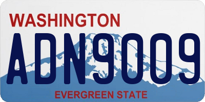 WA license plate ADN9009
