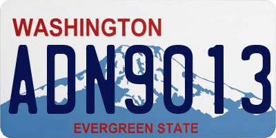 WA license plate ADN9013