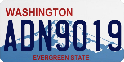 WA license plate ADN9019