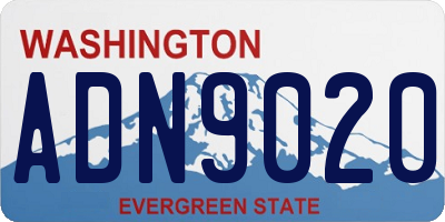 WA license plate ADN9020