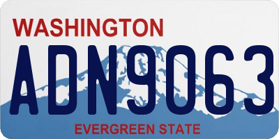 WA license plate ADN9063