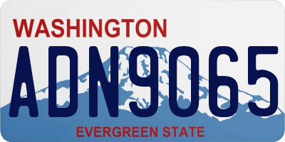 WA license plate ADN9065