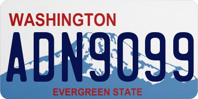 WA license plate ADN9099