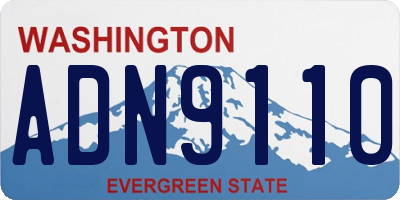 WA license plate ADN9110