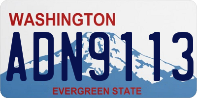 WA license plate ADN9113