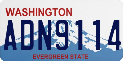 WA license plate ADN9114