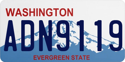 WA license plate ADN9119