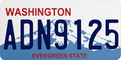 WA license plate ADN9125