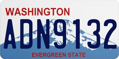 WA license plate ADN9132