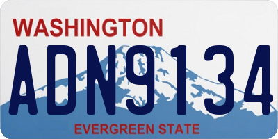 WA license plate ADN9134