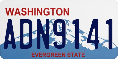 WA license plate ADN9141