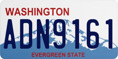 WA license plate ADN9161