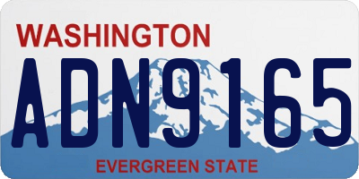 WA license plate ADN9165