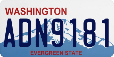 WA license plate ADN9181