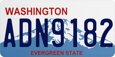 WA license plate ADN9182