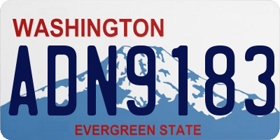 WA license plate ADN9183