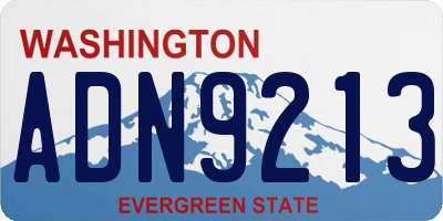 WA license plate ADN9213