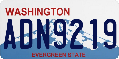 WA license plate ADN9219