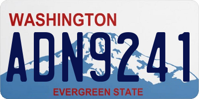 WA license plate ADN9241