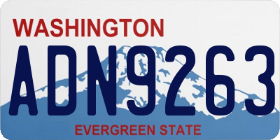WA license plate ADN9263
