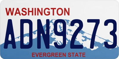 WA license plate ADN9273